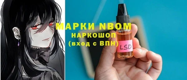 стафф Арсеньев