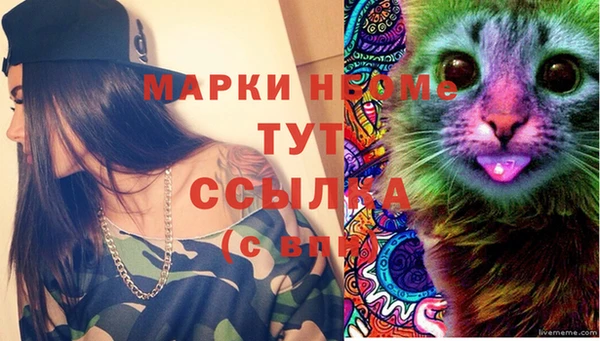 дживик Надым