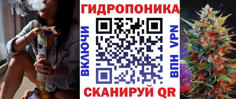 Бошки Шишки Amnesia  MEGA ССЫЛКА  Сегежа 